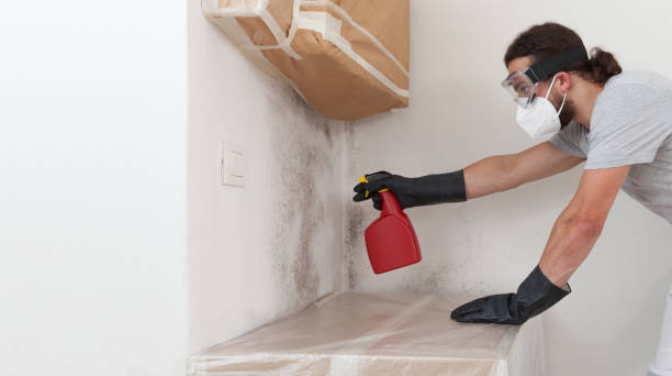 Professional Attic Mold Remediation technician working in Gilbert, MN